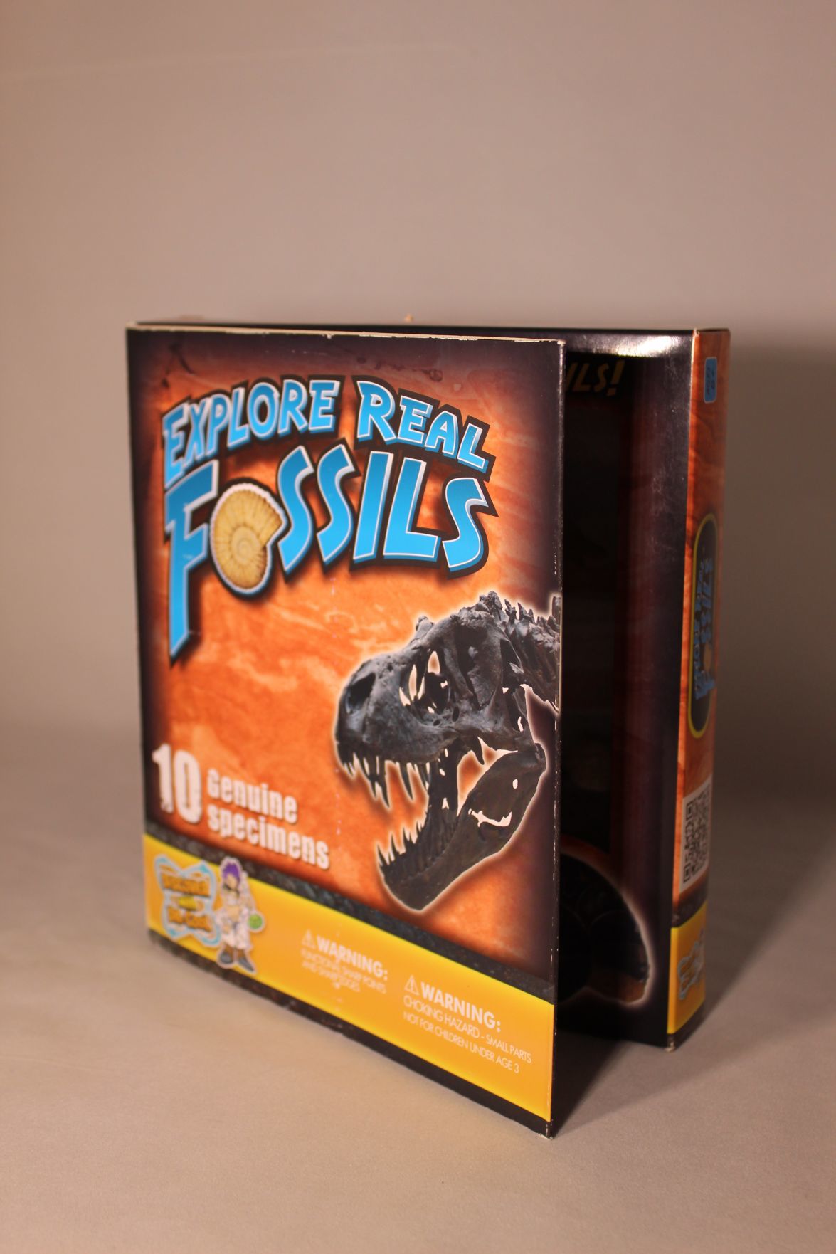 Explore Real Fossils